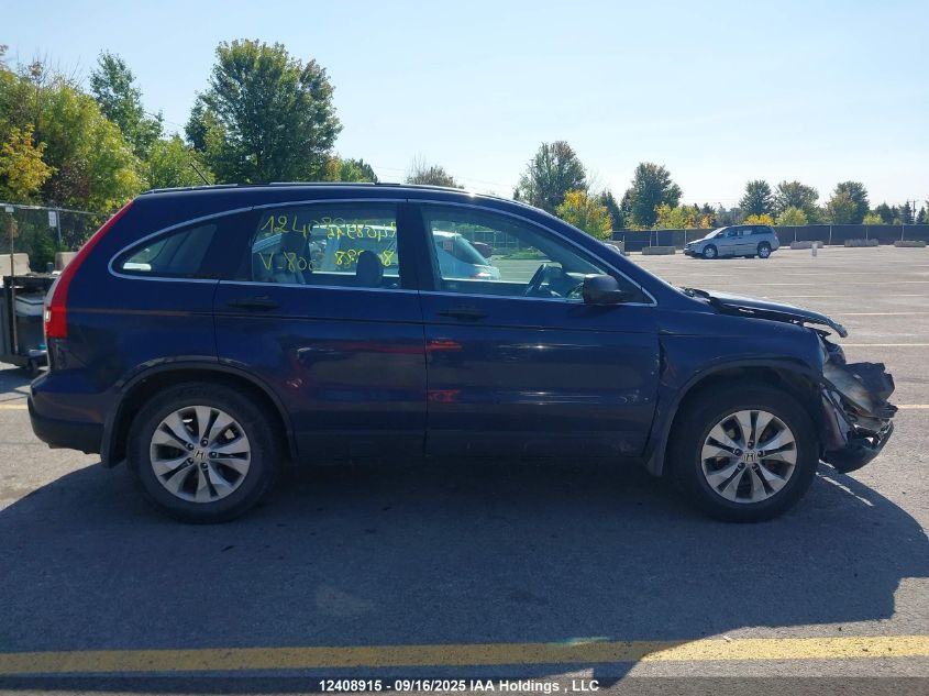 2007 Honda Cr-V VIN: 5J6RE38367L800328 Lot: 12408915