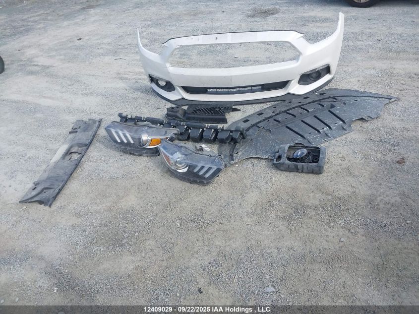 2017 Ford Mustang V6 VIN: 1FA6P8AM9H5225821 Lot: 12409029