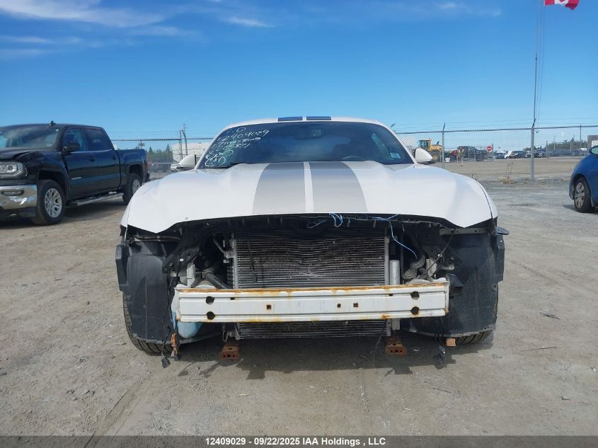 2017 Ford Mustang V6 VIN: 1FA6P8AM9H5225821 Lot: 12409029