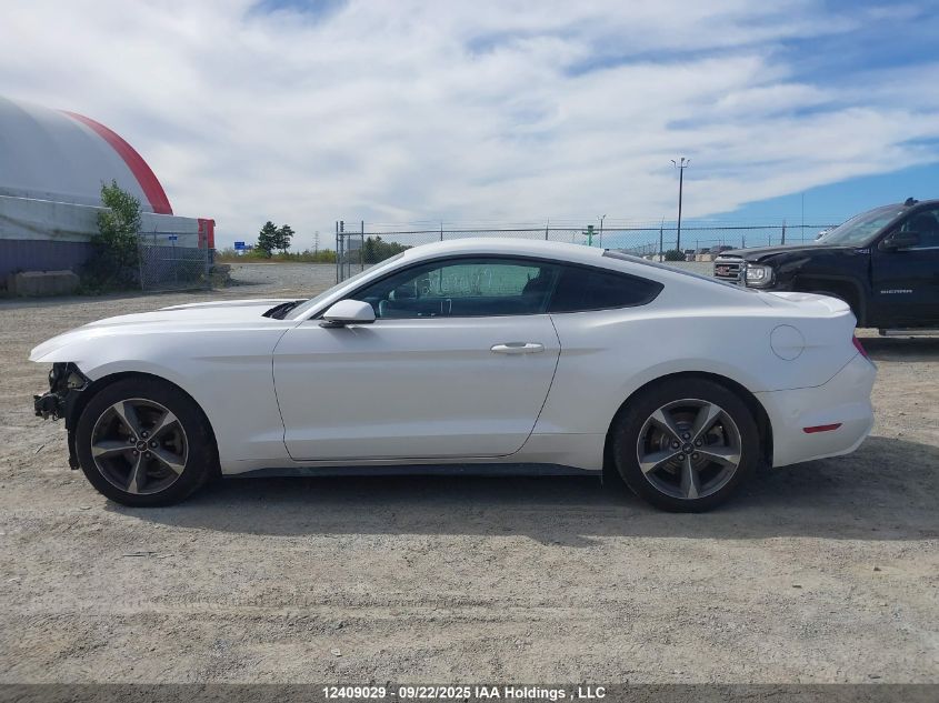 2017 Ford Mustang V6 VIN: 1FA6P8AM9H5225821 Lot: 12409029