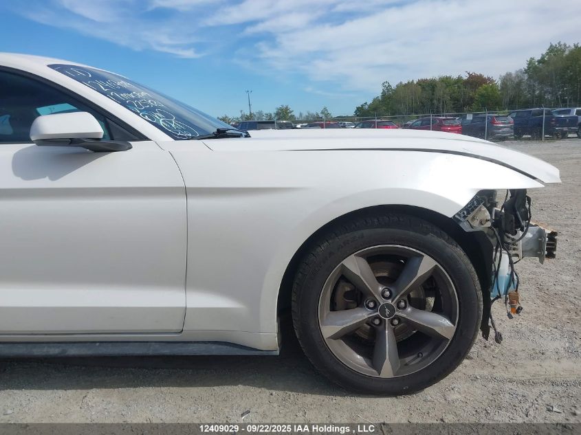 2017 Ford Mustang V6 VIN: 1FA6P8AM9H5225821 Lot: 12409029
