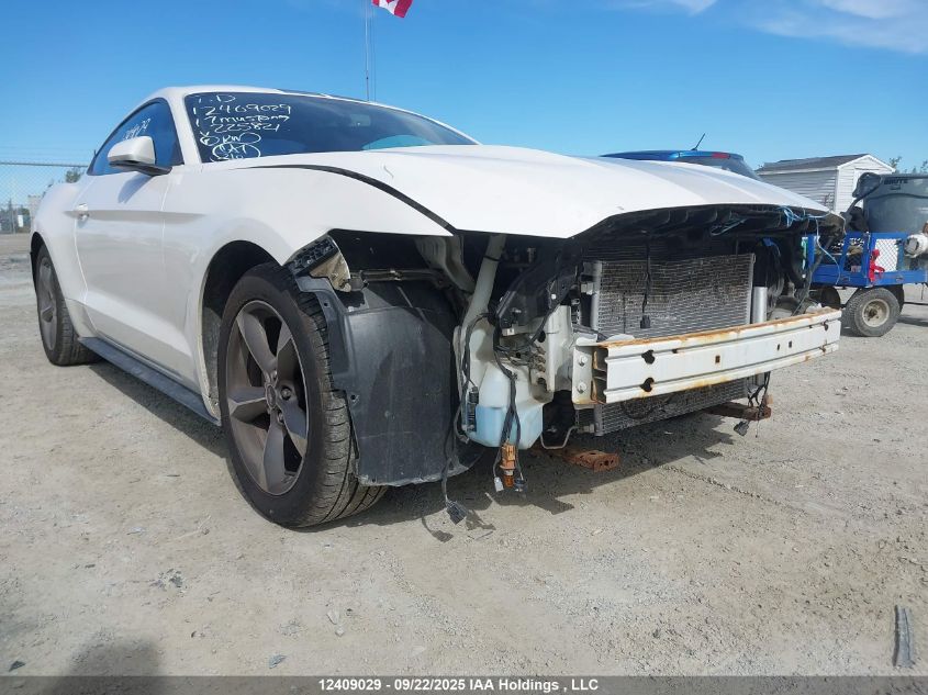 2017 Ford Mustang V6 VIN: 1FA6P8AM9H5225821 Lot: 12409029