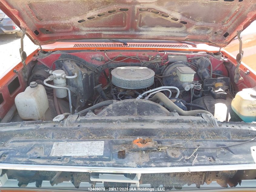 1986 Chevrolet C10 VIN: 2GCEC14H6G1167562 Lot: 12409075