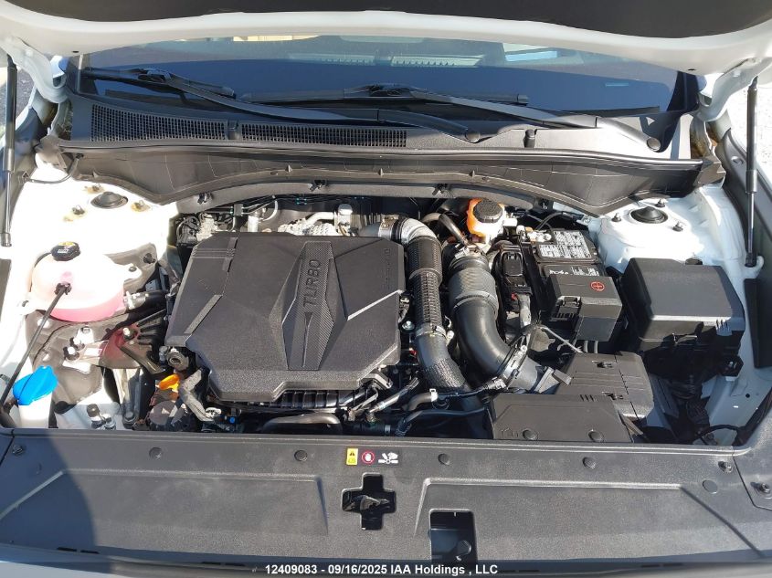 2023 Hyundai Santa Fe Calligraphy VIN: 5NMS5DAL3PH526577 Lot: 12409083