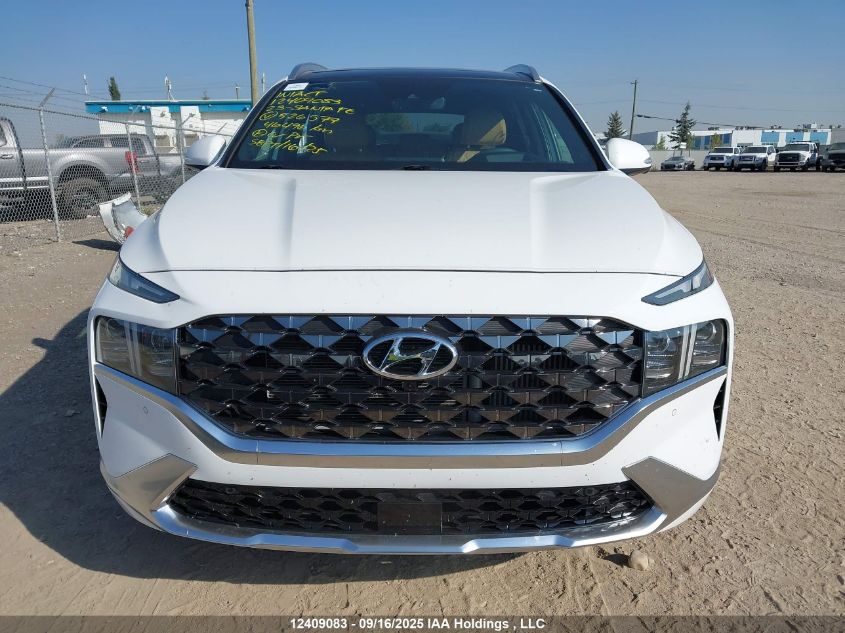 2023 Hyundai Santa Fe Calligraphy VIN: 5NMS5DAL3PH526577 Lot: 12409083