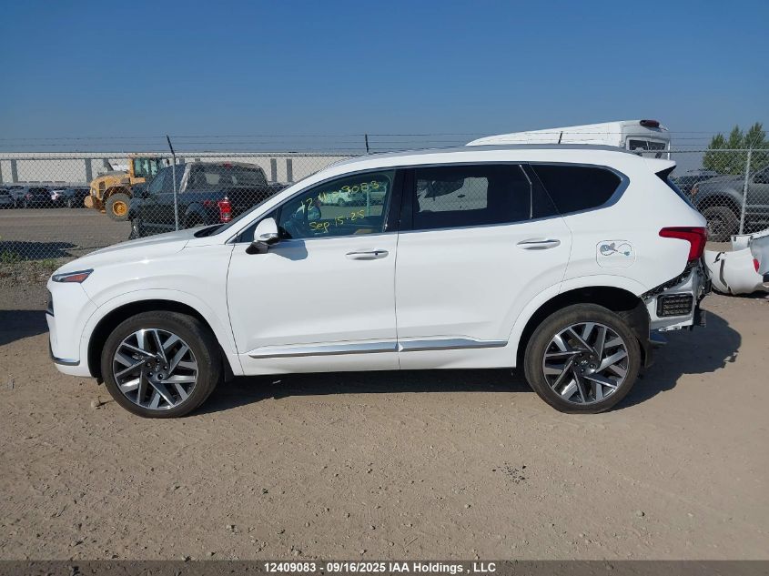 2023 Hyundai Santa Fe Calligraphy VIN: 5NMS5DAL3PH526577 Lot: 12409083