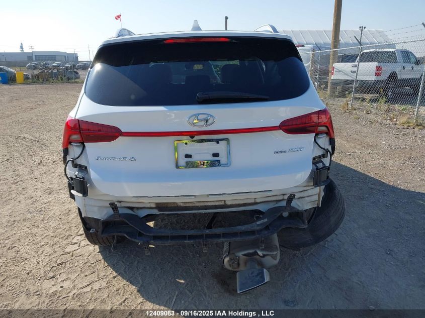 2023 Hyundai Santa Fe Calligraphy VIN: 5NMS5DAL3PH526577 Lot: 12409083