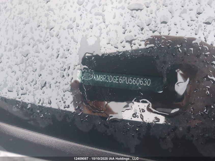 2023 Hyundai Palisade Xrt VIN: KM8R3DG36PU560630 Lot: 12409087