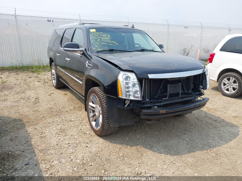 1GYS4KEF3BR310206 2011 Cadillac Escalade Esv Platinum Edition auction photo 1