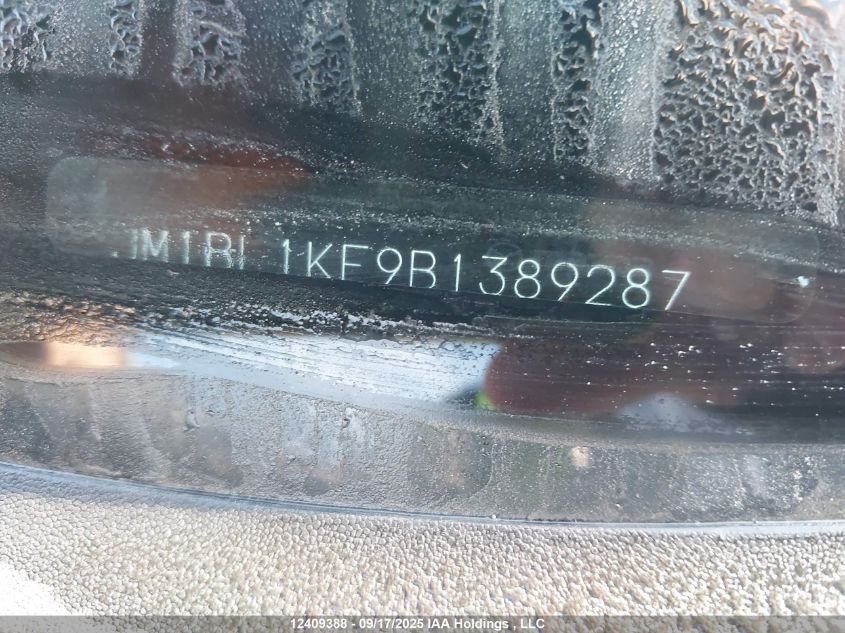 2011 Mazda Mazda3 Gx VIN: JM1BL1KF9B1389287 Lot: 12409388