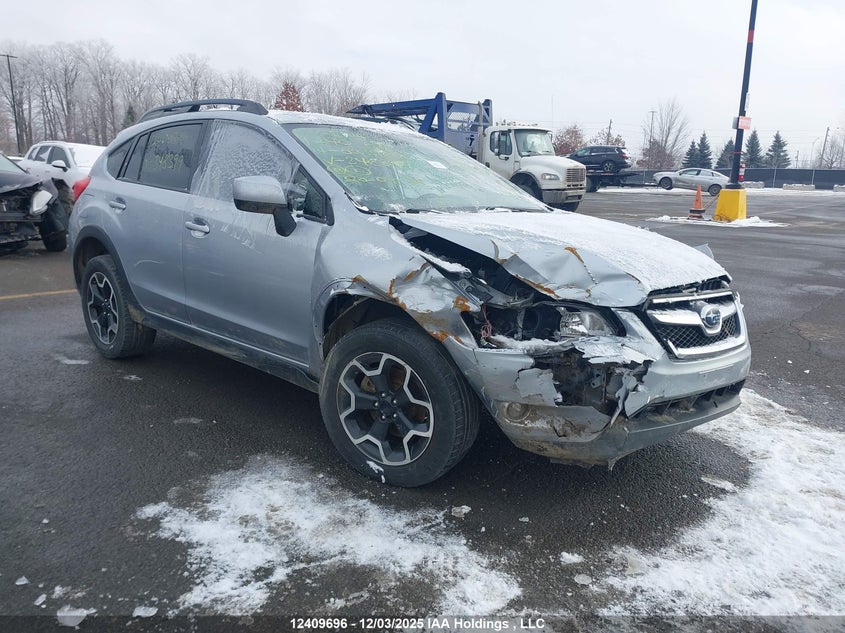 JF2GPACC8EH348399 2014 Subaru Xv Crosstrek 2.0 Premium auction photo 1