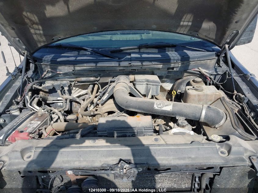 2009 Ford F150 Super Cab VIN: 1FTPX14V69FA16042 Lot: 12410300