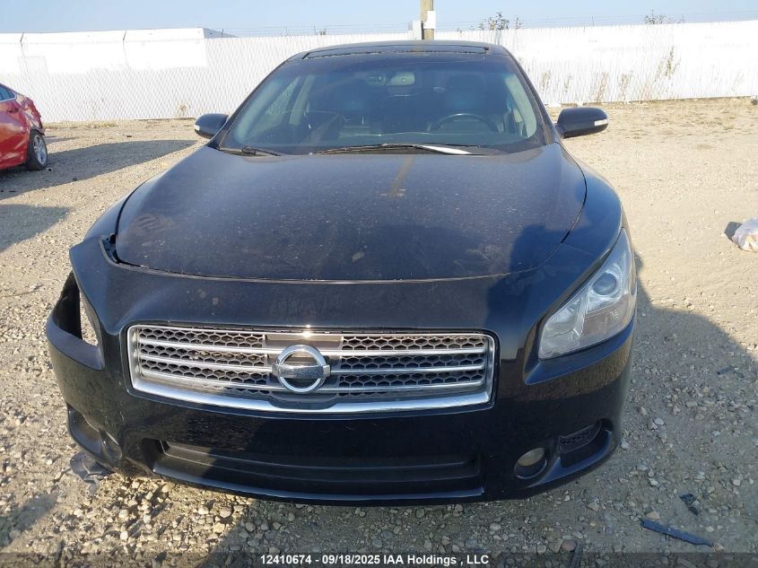 2010 Nissan Maxima 3.5 Sv VIN: 1N4AA5AP8AC869543 Lot: 12410674