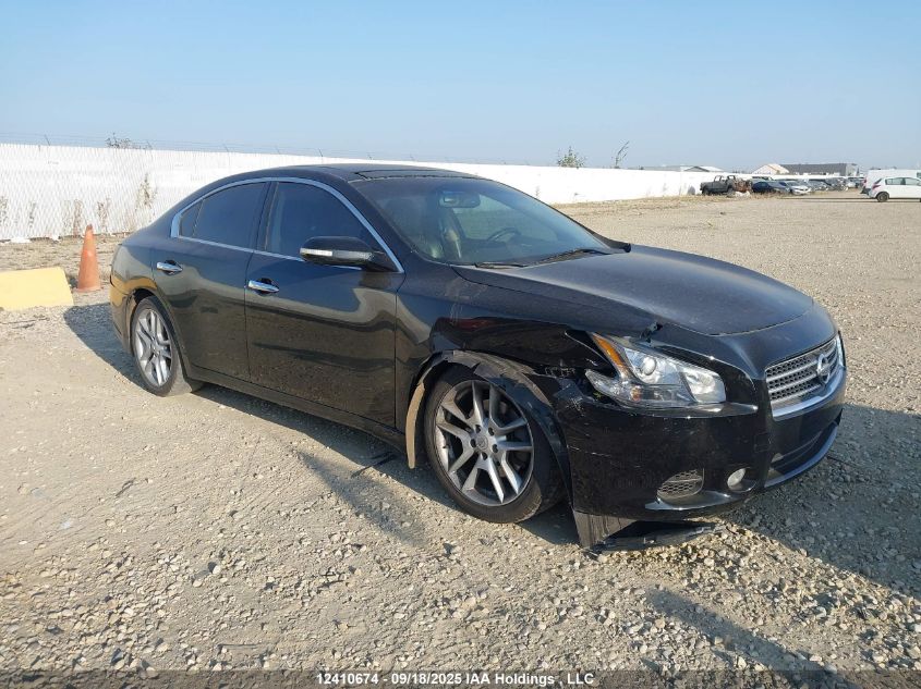 2010 Nissan Maxima 3.5 Sv VIN: 1N4AA5AP8AC869543 Lot: 12410674