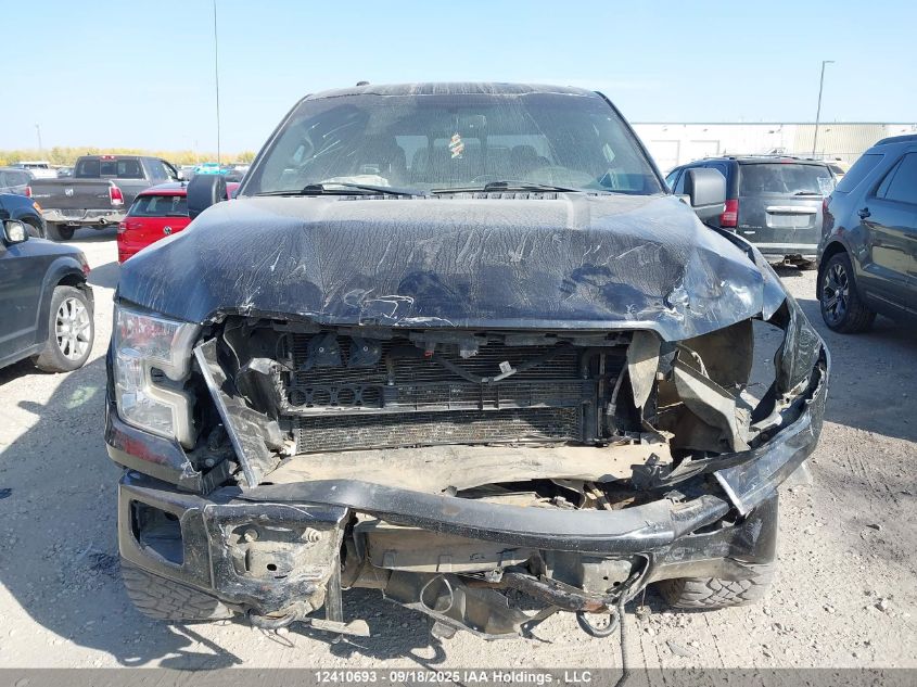 2016 Ford F-150 Xlt VIN: 1FTEW1EP7GFB73134 Lot: 12410693