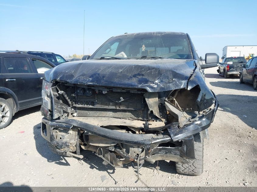 2016 Ford F-150 Xlt VIN: 1FTEW1EP7GFB73134 Lot: 12410693