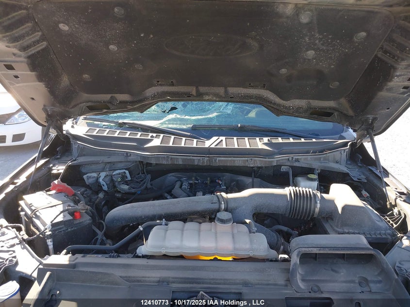 1FTFW5L86RFB61003 2024 FORD F-150 photo no. 10