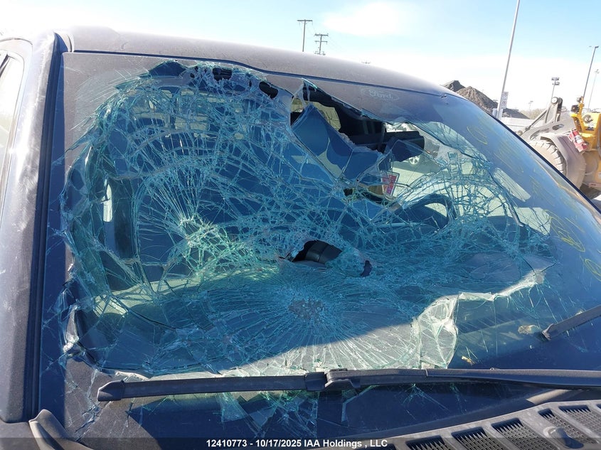 1FTFW5L86RFB61003 2024 FORD F-150 photo no. 6