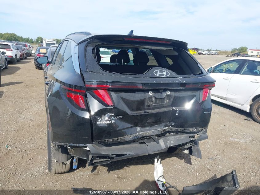 2023 Hyundai Tucson Preferred Awd VIN: KM8JBCAE6PU215987 Lot: 12410987