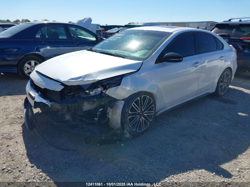 2023 Kia Forte VIN: 3KPF44AC3PE586287 Lot: 12411061