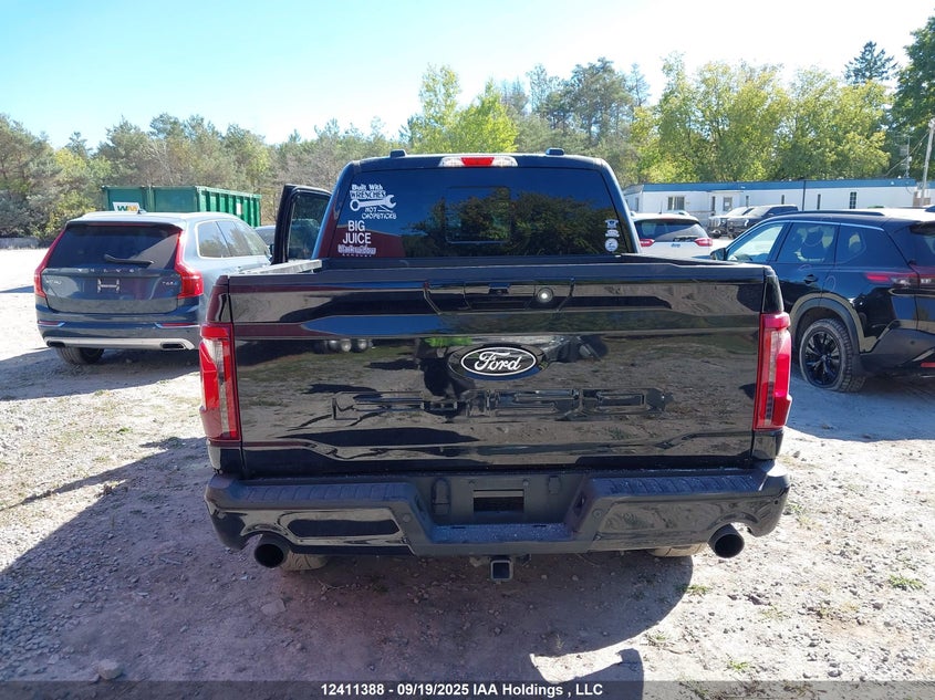 2025 Ford F150 Xlt VIN: 1FTFW3L53SFA61781 Lot: 12411388