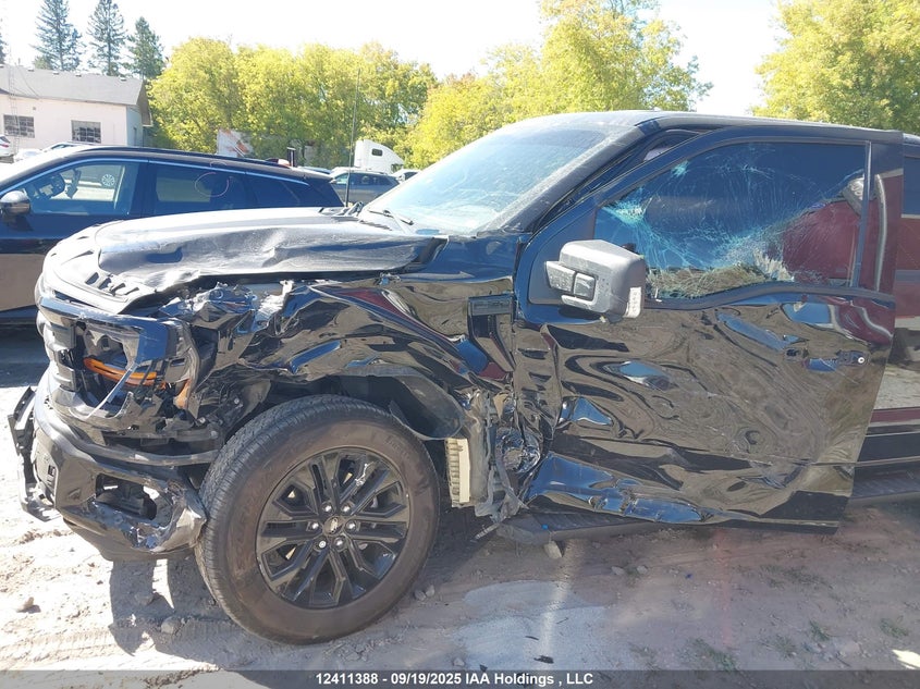 2025 Ford F150 Xlt VIN: 1FTFW3L53SFA61781 Lot: 12411388