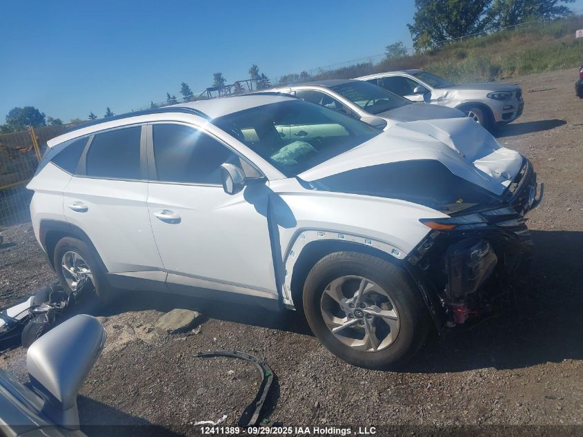 2022 Hyundai Tucson Preferred Fwd VIN: KM8JB3AE3NU112510 Lot: 12411389