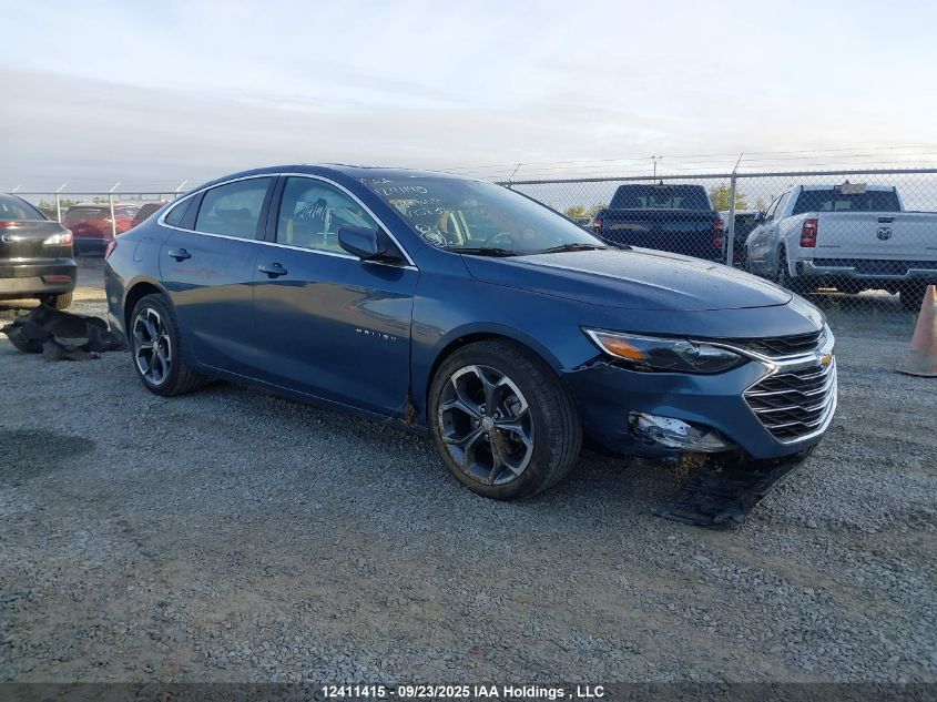 2024 Chevrolet Malibu 1Lt VIN: 1G1ZD5ST9RF158341 Lot: 12411415