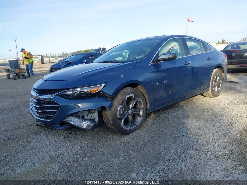 2024 Chevrolet Malibu 1Lt VIN: 1G1ZD5ST9RF158341 Lot: 12411415