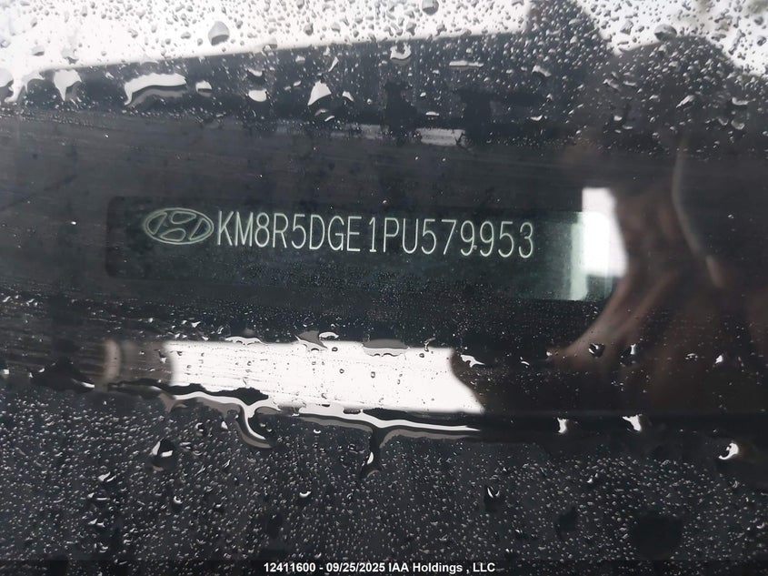 KM8R5DGE1PU579953 2023 HYUNDAI PALISADE photo no. 18
