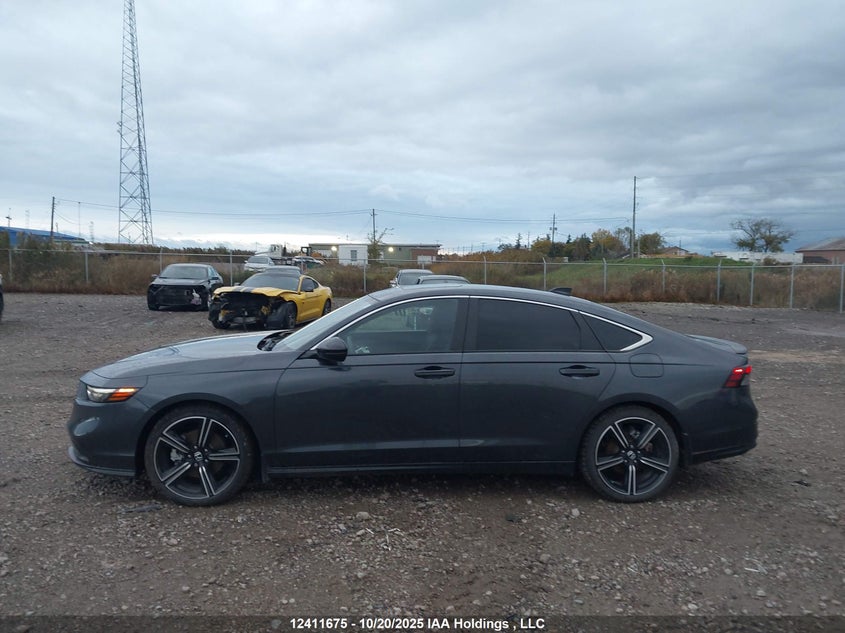 1HGCY2F56RA801366 2024 HONDA ACCORD photo no. 14