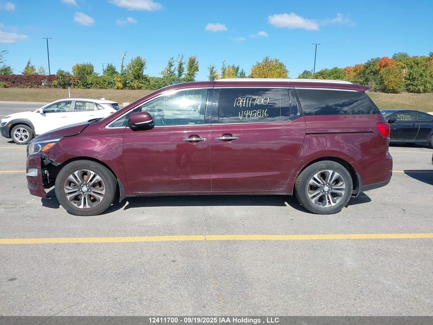 2019 Kia Sedona Ex/Sx VIN: KNDMC5C15K6442816 Lot: 12411700