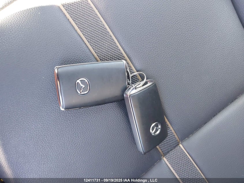 2025 Mazda Cx-9 VIN: JM3KKCHD7S1226584 Lot: 12411731