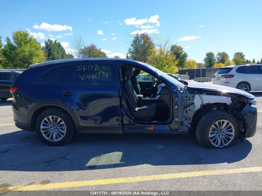 2025 Mazda Cx-9 VIN: JM3KKCHD7S1226584 Lot: 12411731