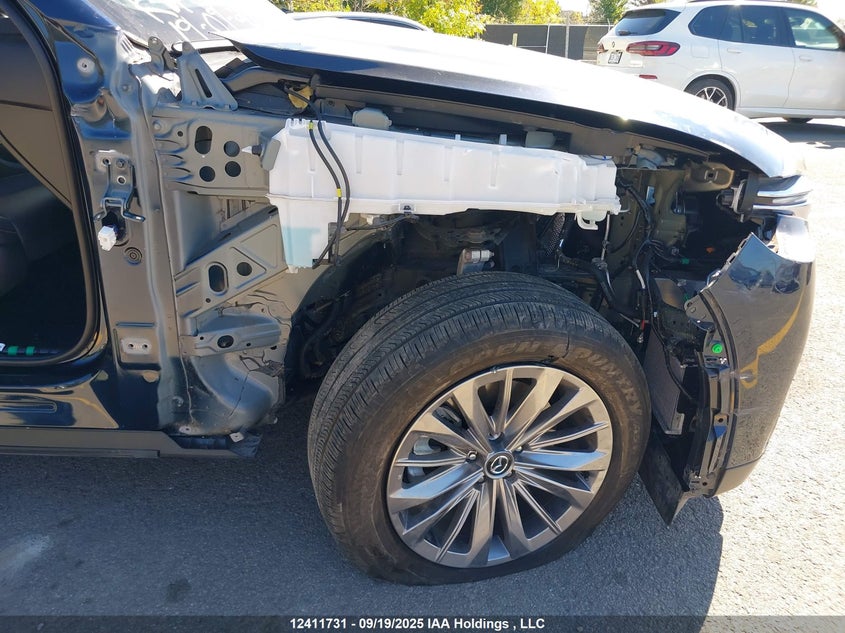 2025 Mazda Cx-9 VIN: JM3KKCHD7S1226584 Lot: 12411731