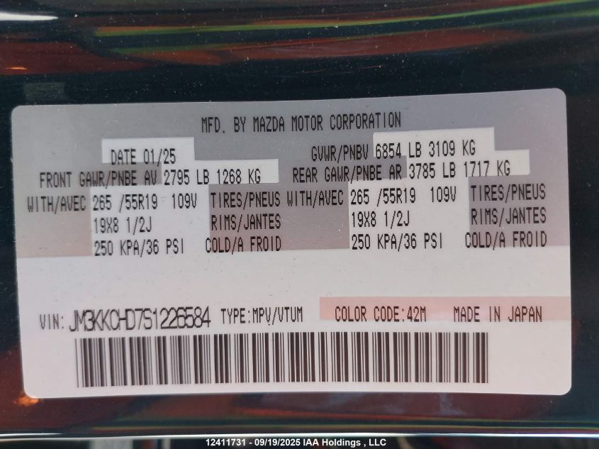 2025 Mazda Cx-9 VIN: JM3KKCHD7S1226584 Lot: 12411731