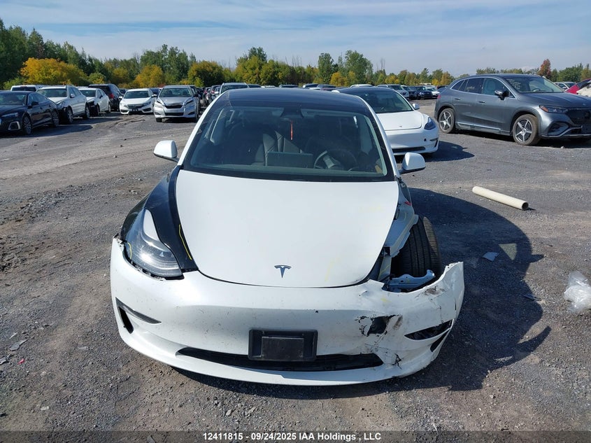 2023 Tesla Model 3 Rwd VIN: LRW3E1FA2PC875896 Lot: 12411815