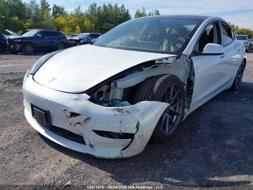 2023 Tesla Model 3 Rwd VIN: LRW3E1FA2PC875896 Lot: 12411815