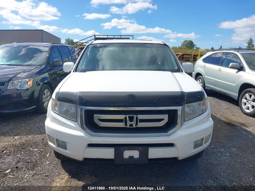 2011 Honda Ridgeline Ex-L/Vp VIN: 5FPYK1F5XBB502242 Lot: 12411960