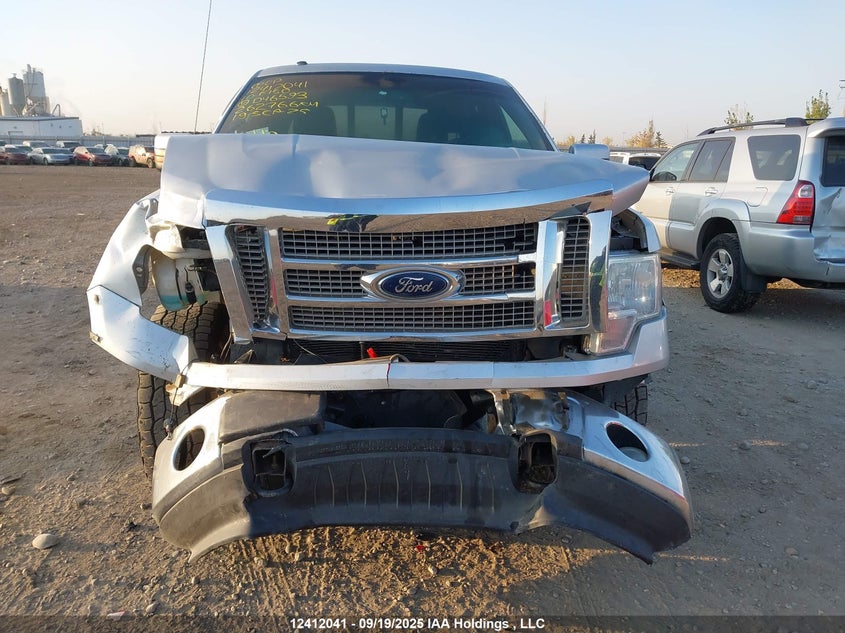 1FTFW1EV3AFD46593 2010 FORD F-150 photo no. 13