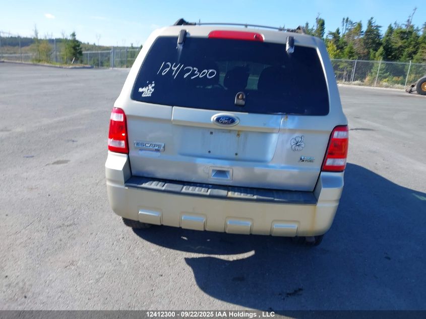 2010 Ford Escape Xlt VIN: 1FMCU9DG8AKD03509 Lot: 12412300