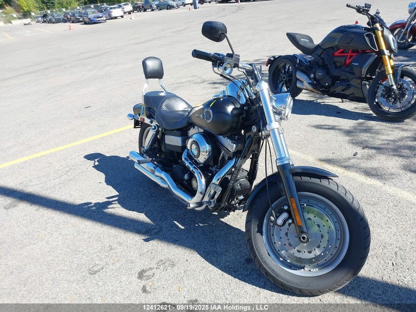 1HD1GY4119K316685 2009 Harley-Davidson Fxdf auction photo 1