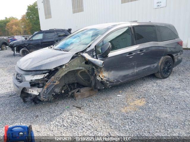 5FNRL6H74SB501593 2025 HONDA ODYSSEY photo no. 3