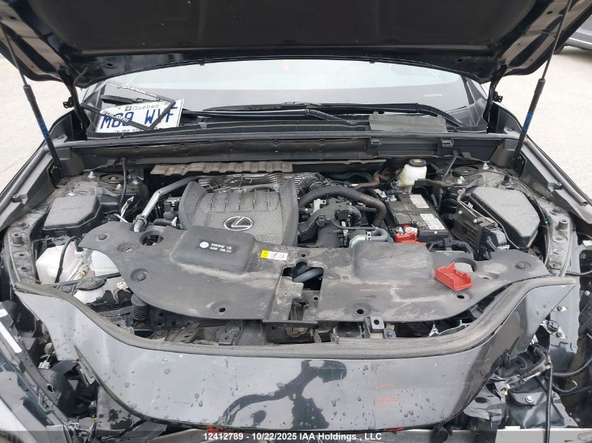 2025 Lexus Nx 350 VIN: 2T2GGCEZ0SC072761 Lot: 12412789