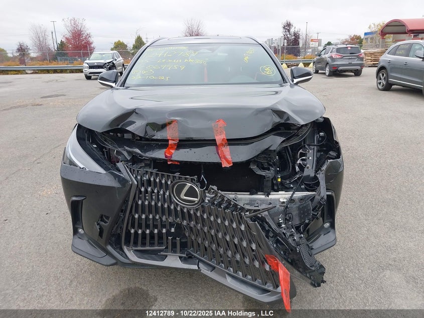 2025 Lexus Nx 350 VIN: 2T2GGCEZ0SC072761 Lot: 12412789