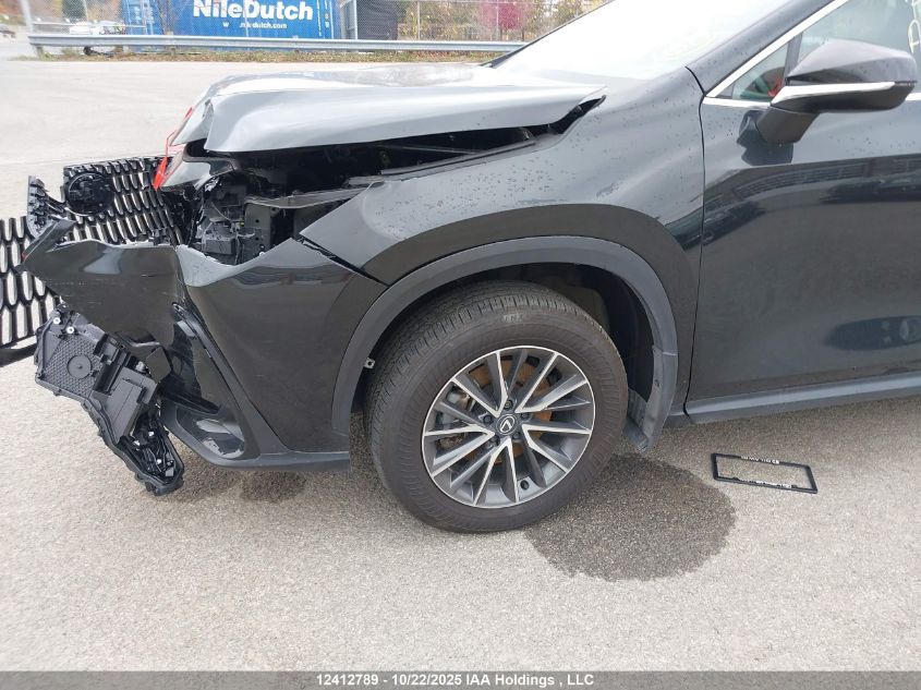 2025 Lexus Nx 350 VIN: 2T2GGCEZ0SC072761 Lot: 12412789