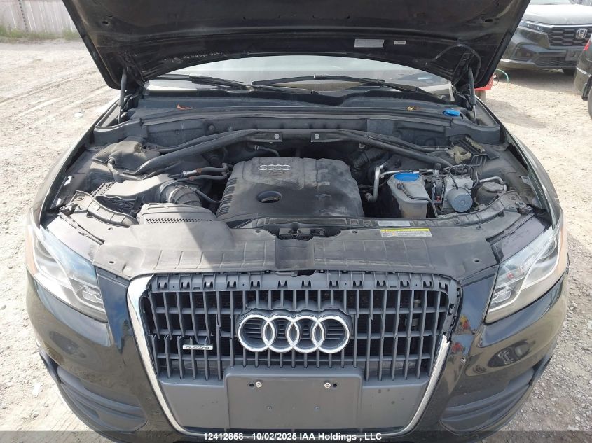 2012 Audi Q5 Premium Plus VIN: WA1LFCFP5CA069518 Lot: 12412858