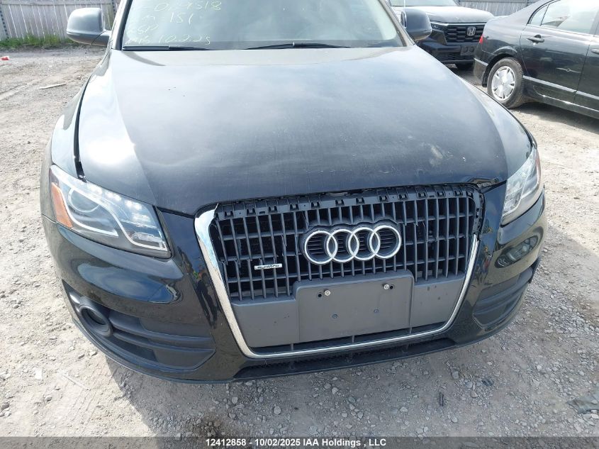 2012 Audi Q5 Premium Plus VIN: WA1LFCFP5CA069518 Lot: 12412858