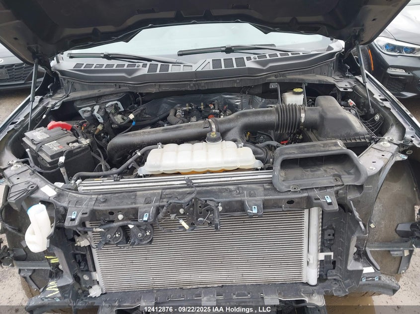 2024 Ford F150 Xlt VIN: 1FTFW3L82RKE02213 Lot: 12412876