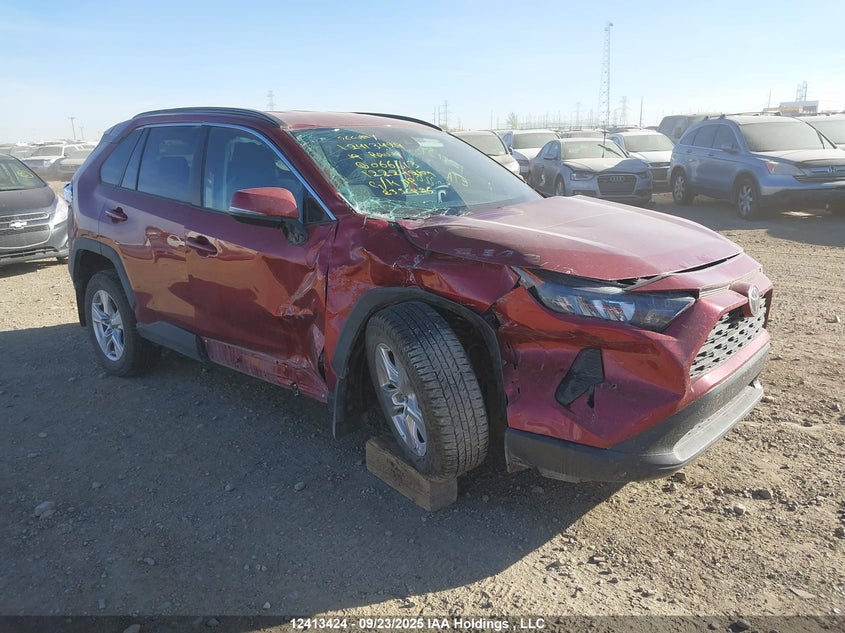 2T3B1RFV4KW066613 2019 Toyota Rav4 Le auction photo 1